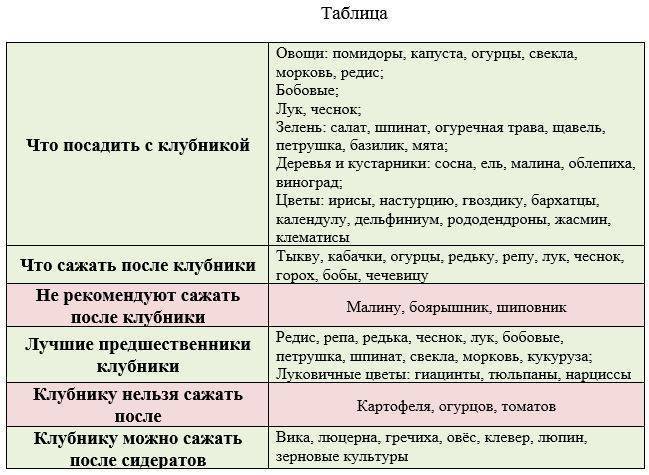 Посадить клубнику после салата