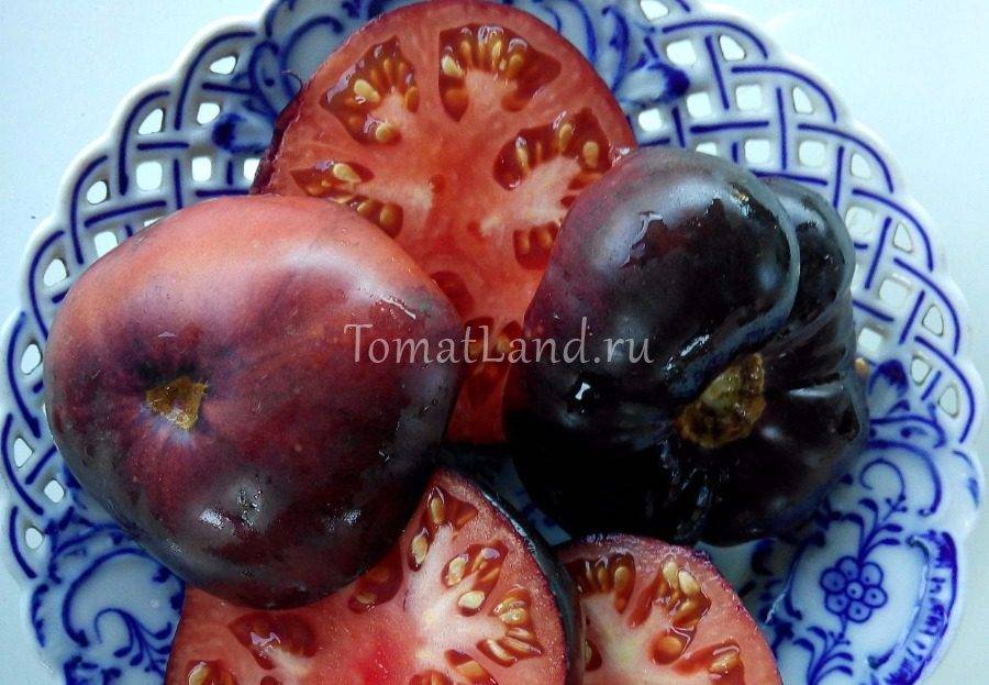 Описание фиолетового томата аметистовая драгоценность и агротехника выращивания