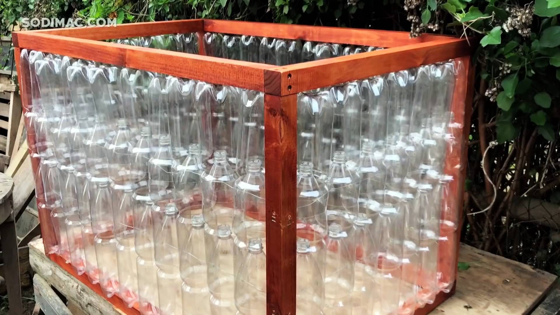 Парник из пластиковых бутылок