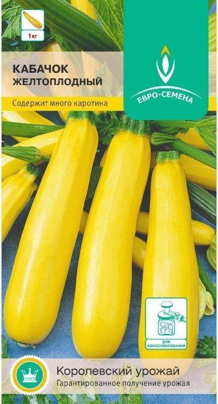 Описание лучших сортов желтоплодных кабачков для употребления и выращивания