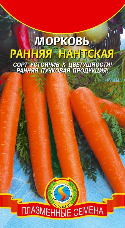 Лучшие сорта ранней моркови