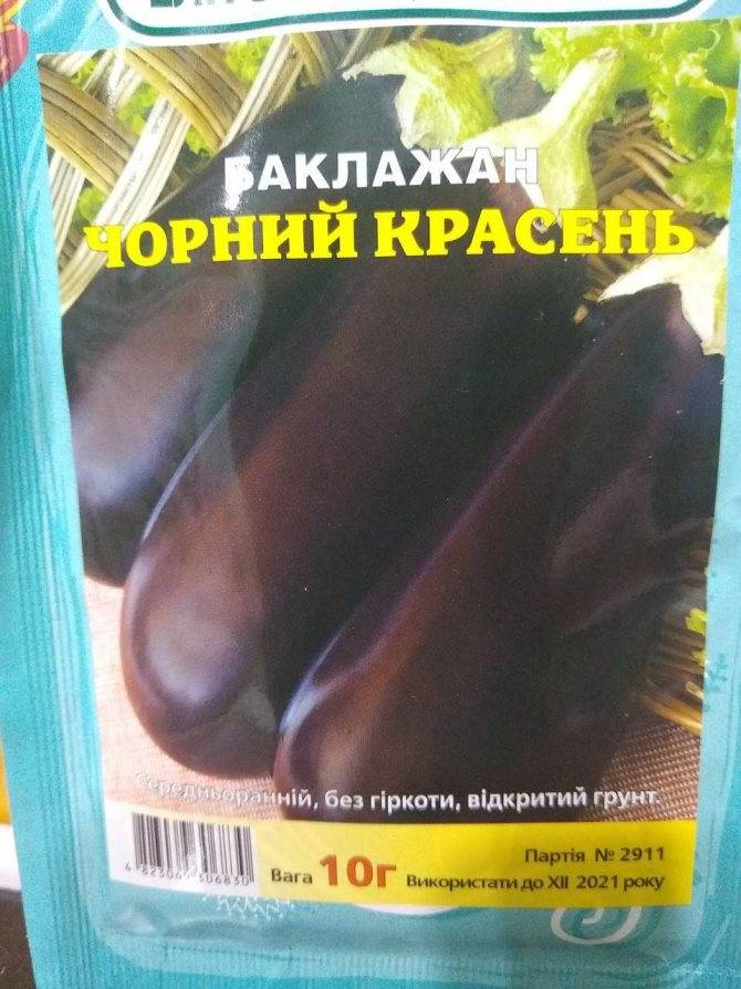 Баклажан черный красавец: высокоурожайный сорт и его характеристики