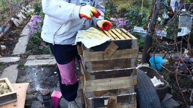 Объединение пчелиных семей осенью: как и когда происходит соединение