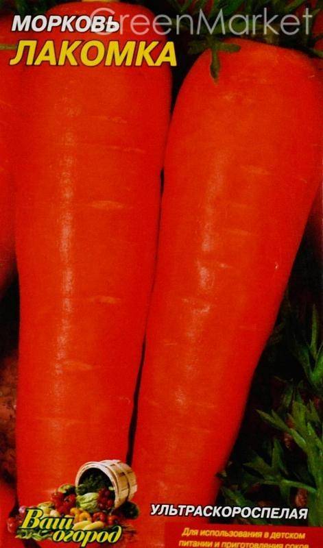 Морковь Алтайская лакомка