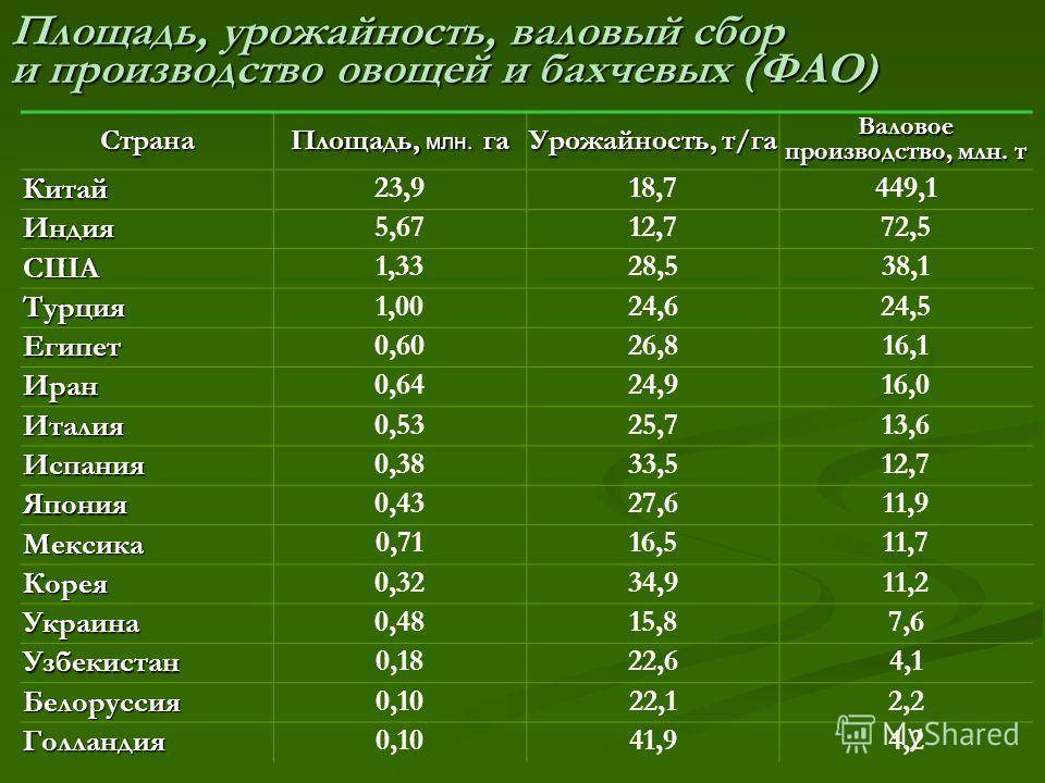Урожайность картофеля: сколько килограмм можно собрать с 1 сотки