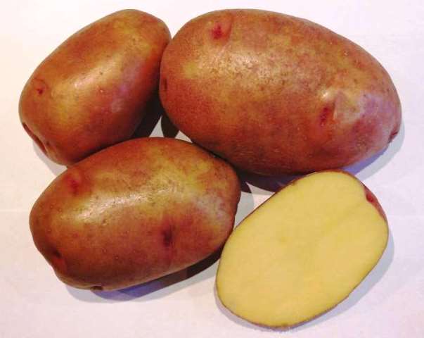 Картофель Брянский деликатес