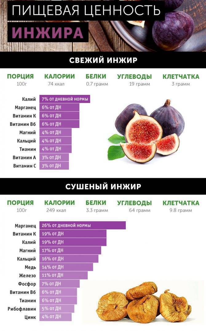 Инжир: польза и вред свежего и сушеного фрукта для организма человека
