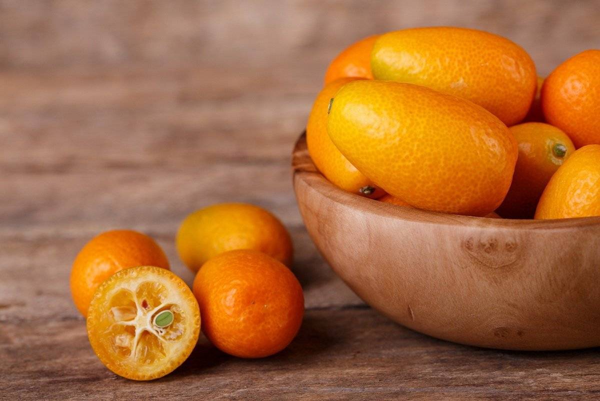 Кумкват: польза и вред, что это за фрукт и как его едят