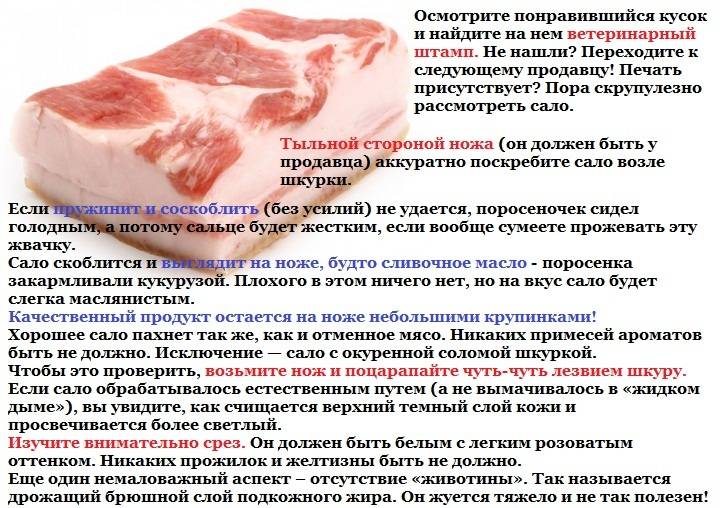 Самый эффективный откорм свиней: на мясо, сало и бекон - чтобы быстро росли