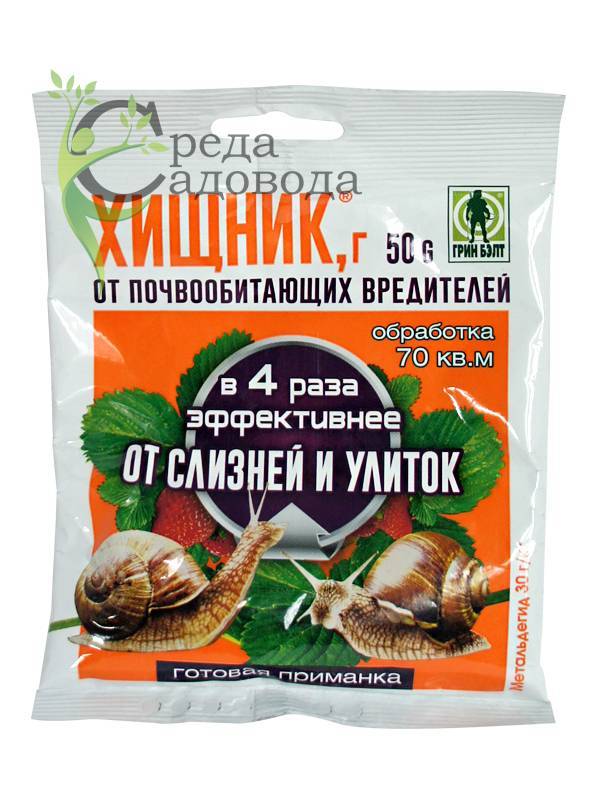 Как избавиться от слизней в огороде: самые эффективные способы