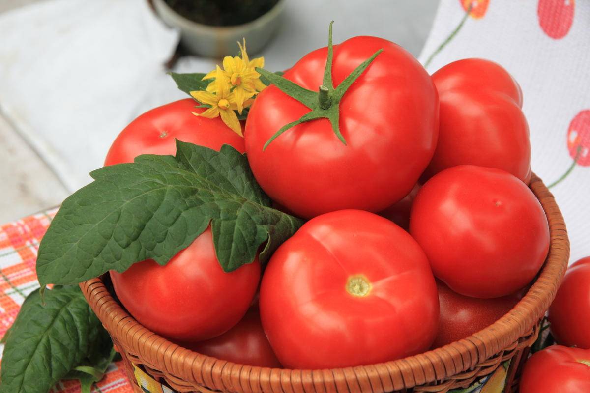 Описание сорта томата большая мамочка, рекомендации по выращиванию и уходу