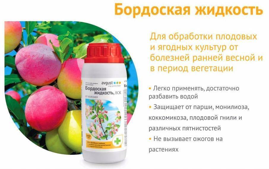 Бордосская смесь в домашних условиях: рецептура и как применять