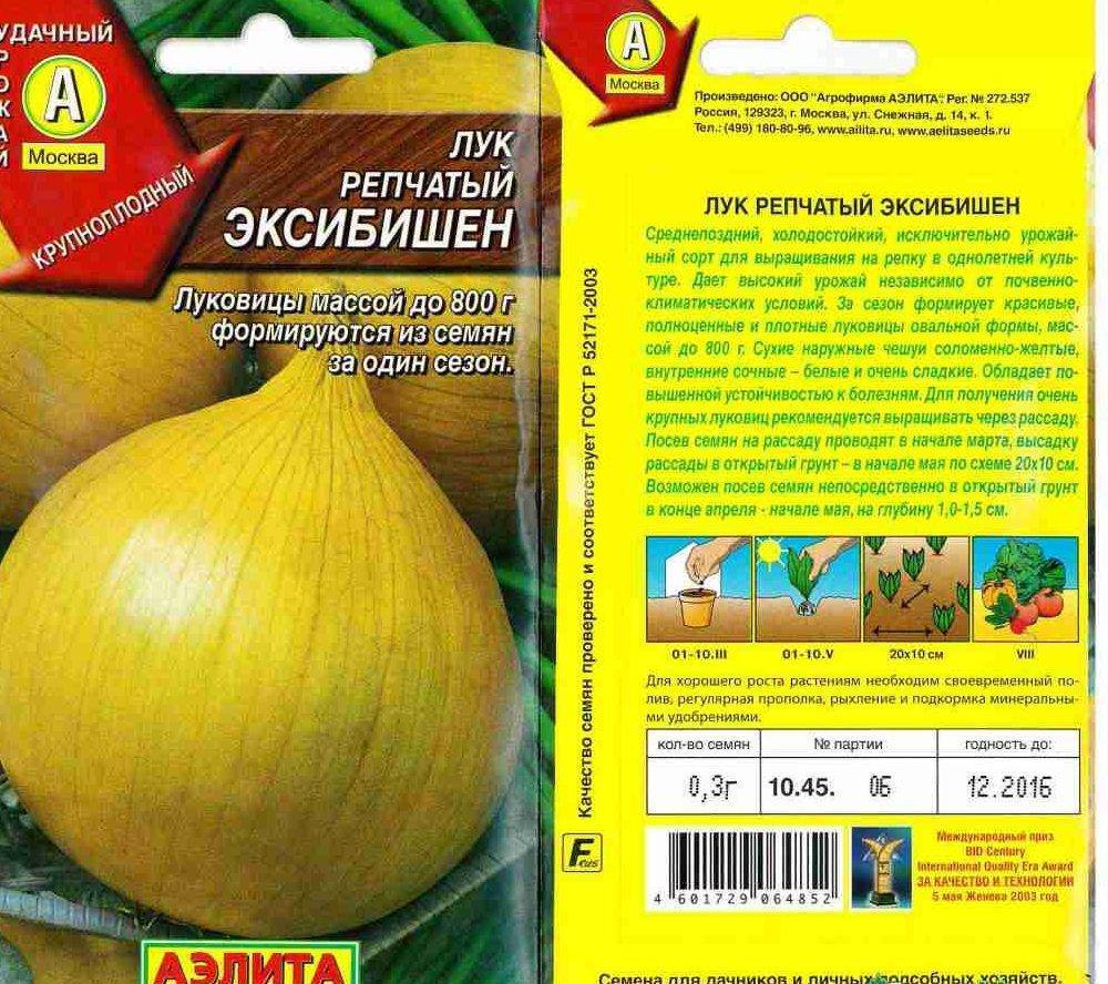 Выращиваем лук Эксибишен из рассады и семян