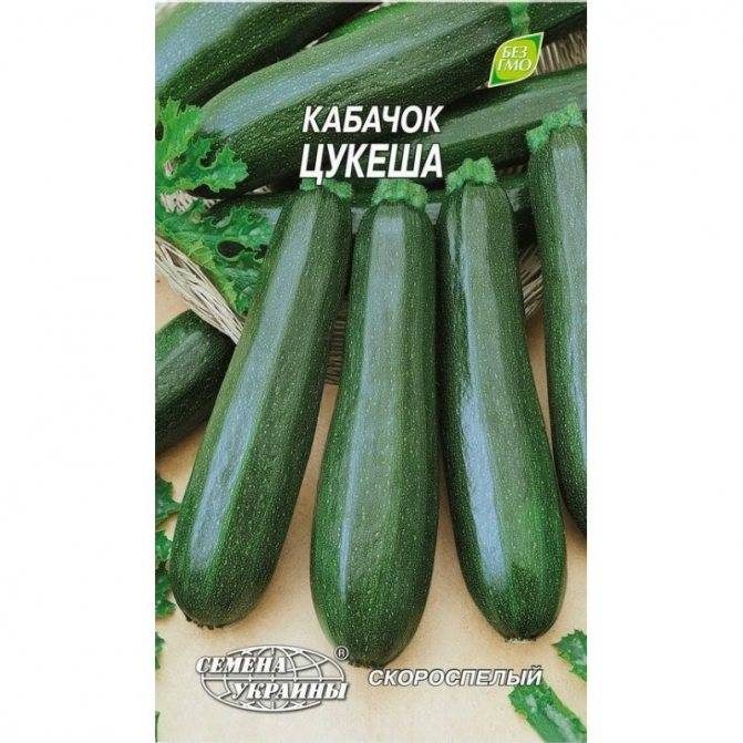 Лучшие сорта кабачков - 31 сорт с описанием и фото
