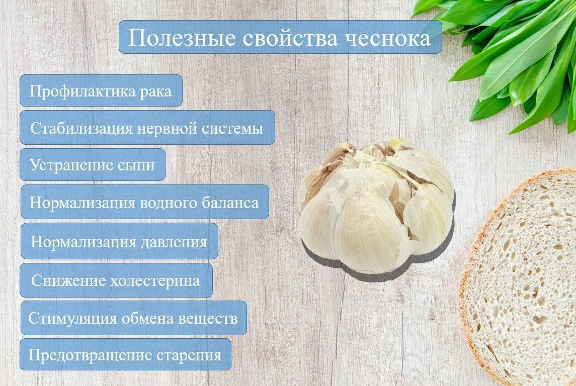 Чеснок: польза и вред | food and health