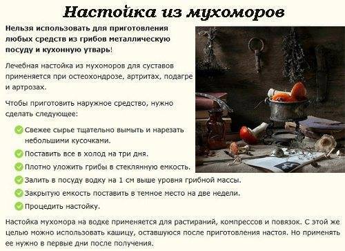 Лечение спиртовой настойкой или отваром мухомора