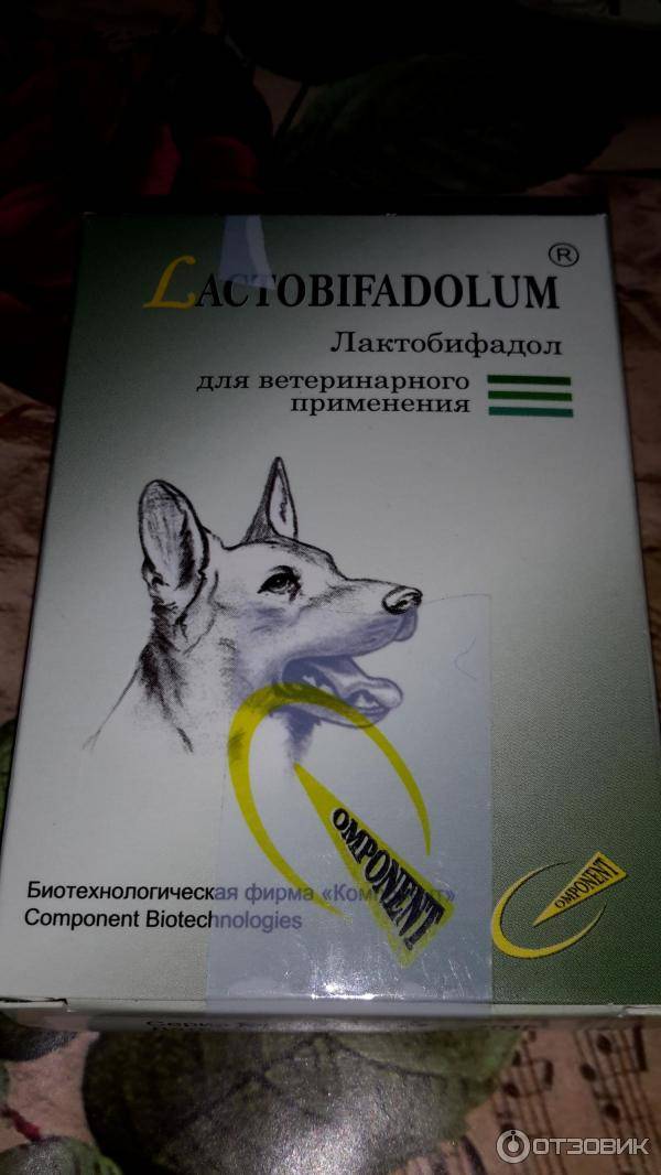 Лактобифадол для крс: состав, инструкция по применению, отзывы