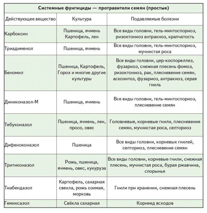Обработка винограда от вредителей: топ-11 лучших препаратов