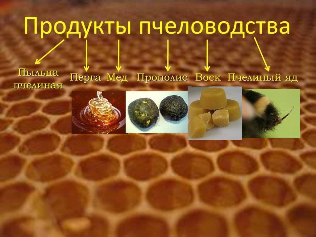 Продукция пчеловодства презентация