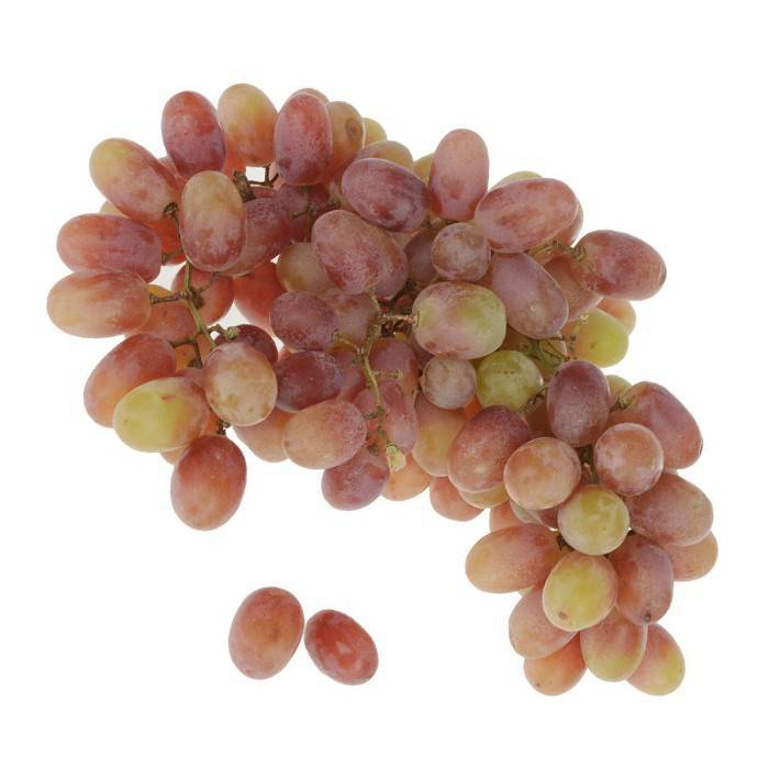 Сорт винограда тайфи