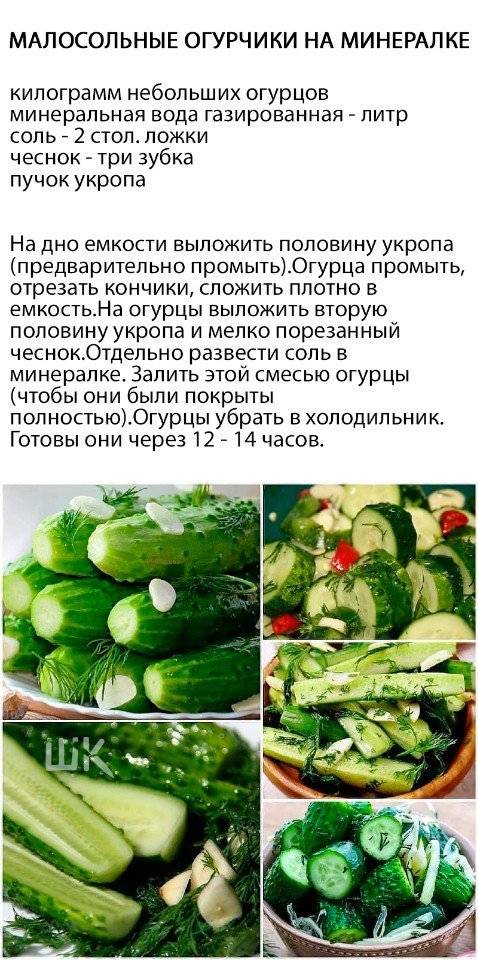 Рецепт огурцы маргарита