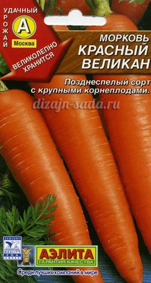 Все лучшие сорта моркови для хранения на зиму, полный список сортов