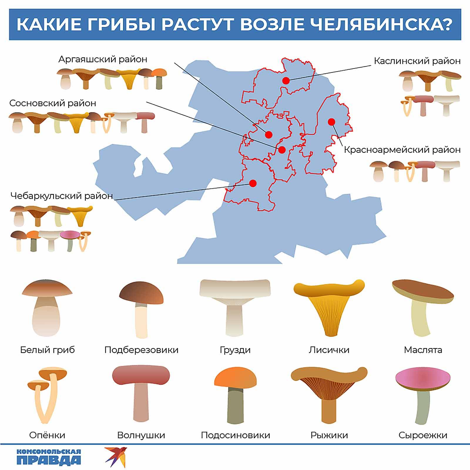 Карта грибных мест ульяновской области