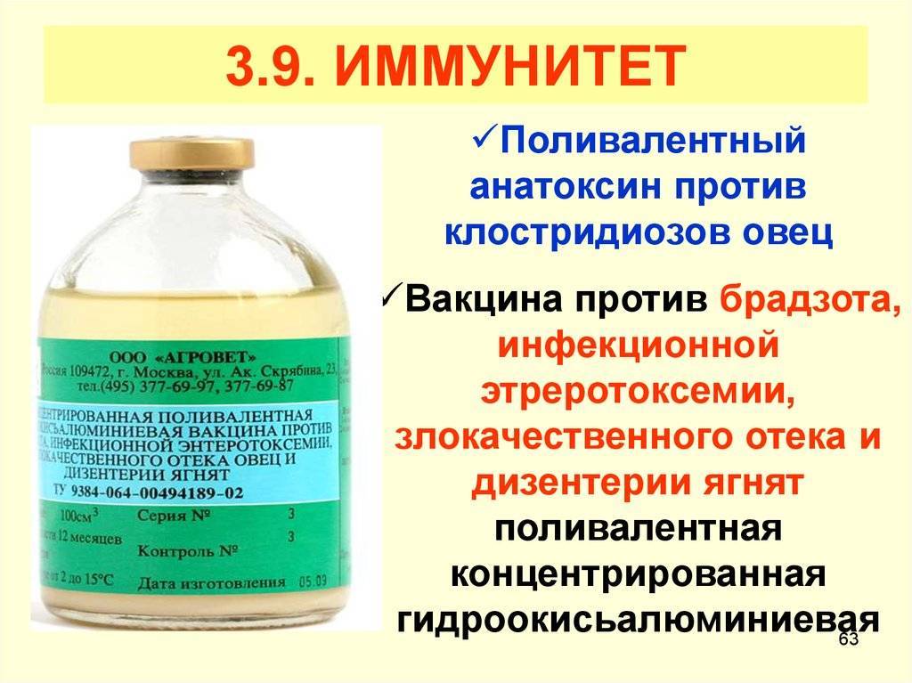 Вакцина против ящура. Брадзот овец вакцинация. Вакцина поливалентный анатоксин. Вакцина против дизентерии свиней. Поливалентная вакцина против брадзота овец.