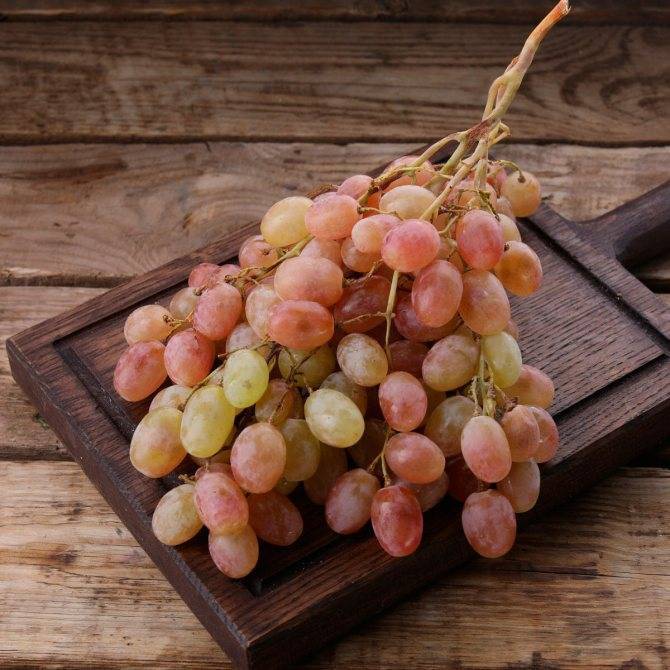 Виноград тайфи розовый: описание сорта, фото, отзывы