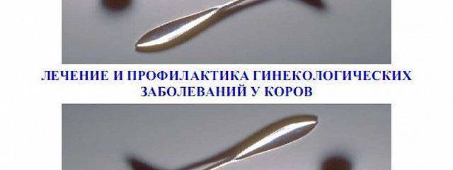Степень контаминации микрофлорой содержимого полости матки у коров при осложнениях, вызванных subinvolutio uteri
 | аграрный научный журнал