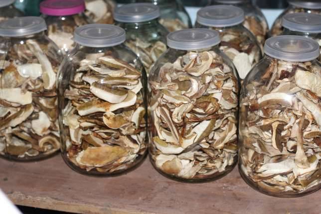 Как хранить сушеные грибы в домашних условиях, сколько хранятся сухие грибы, их срок, в чем хранить