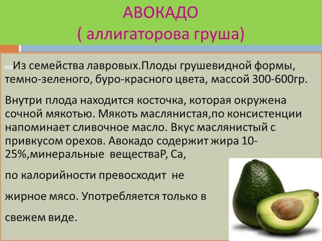 Польза авокадо для организма мужчин и женщин