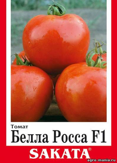 Томат белле: описание, отзывы, фото, урожайность, описание и характеристика