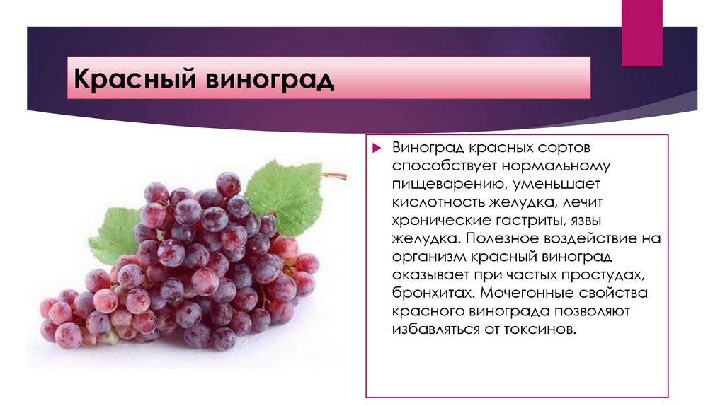 19 популярных сортов винограда для вина в россии