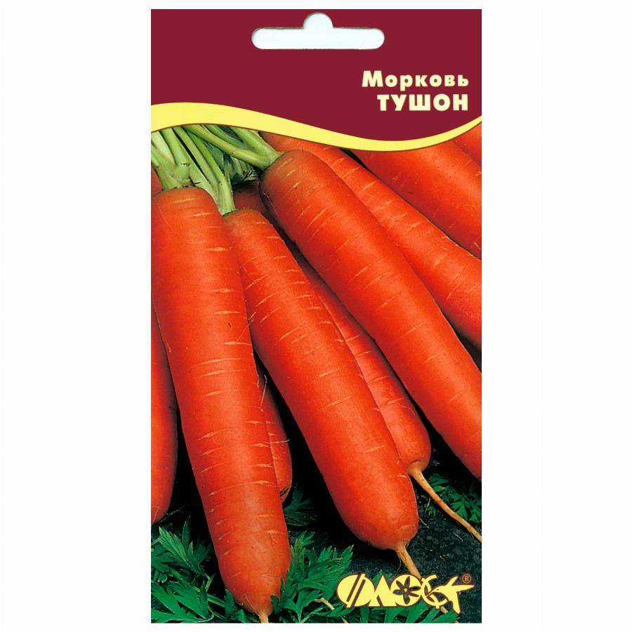 Морковь тушон: описание сорта, отзывы, характеристики, фото