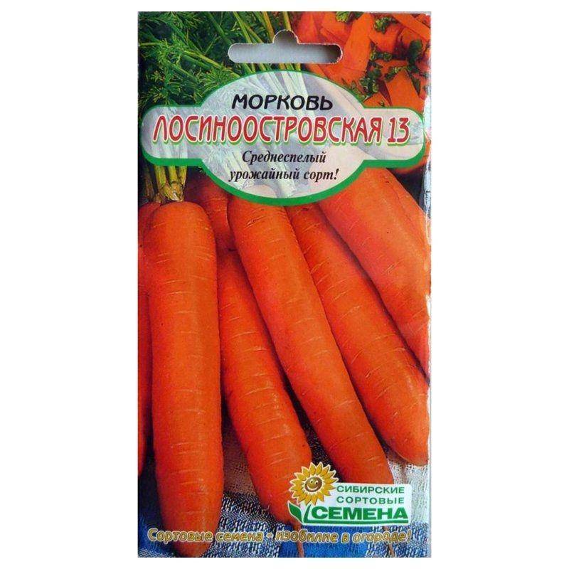 Морковь лосиноостровская — описание и особенности выращивания