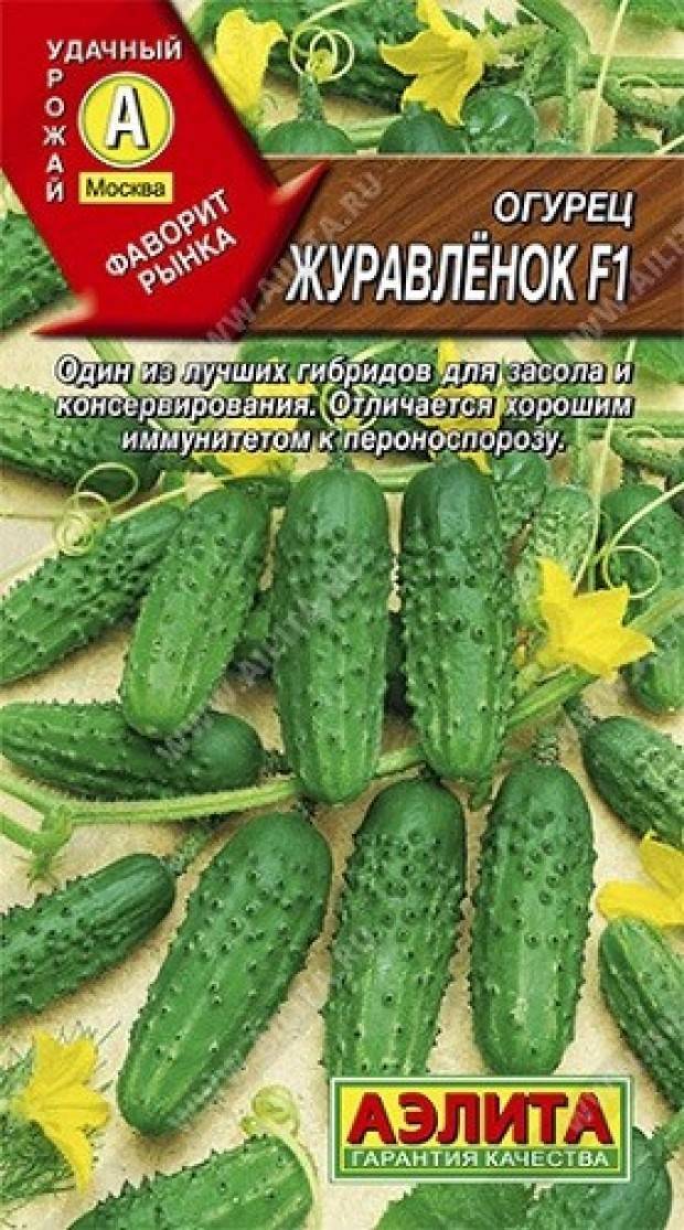 Высокоурожайный огурец журавленок f1: описание гибрида, секреты выращивания, отзывы