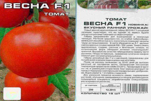 Томат «красный гигант»: характеристика и описание сорта помидор, отзывы и фото