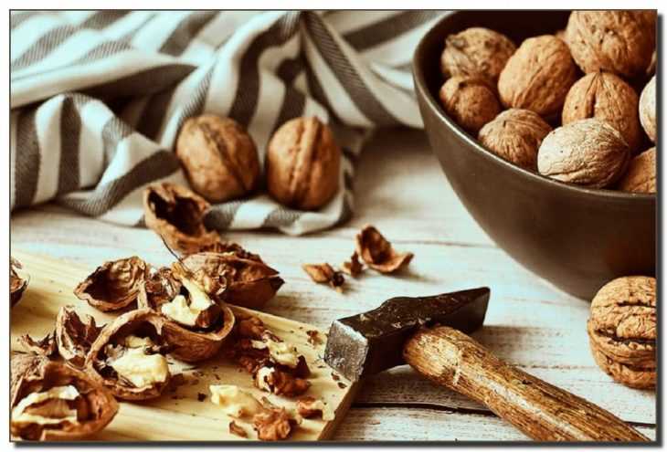Как приготовить и пить настойку из перегородок грецкого ореха?