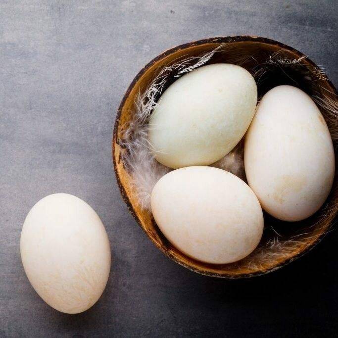 Как выглядит утиное яйцо фото