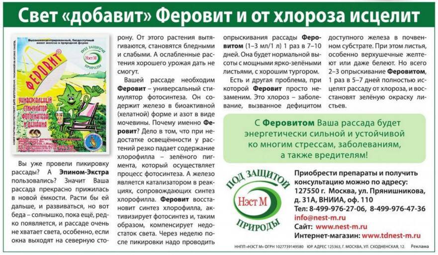 Подкормка домашних цитрусовых растений