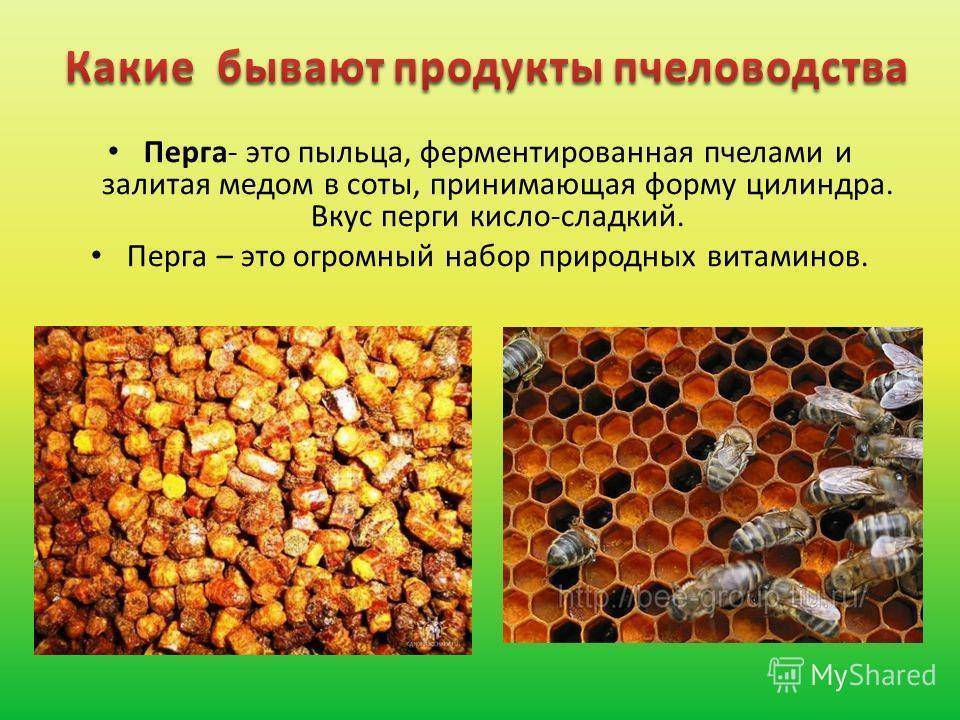 Продукты пчеловодства и их использование человеком: какие бывают, применение