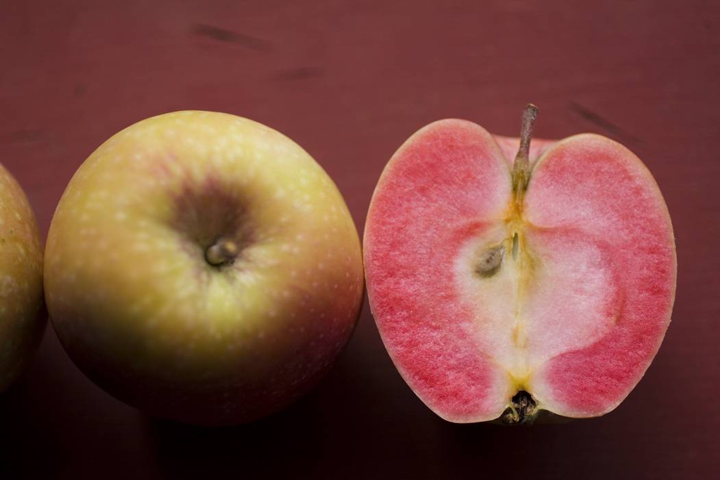 Необычная яблоня розовый жемчуг