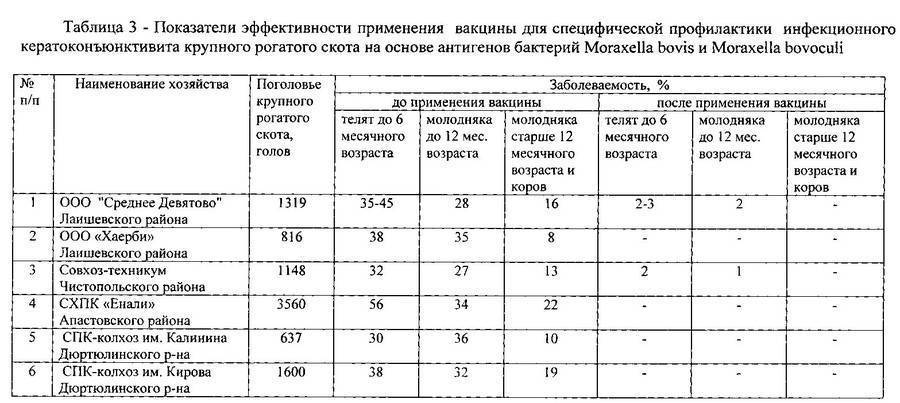 Вакцинация крс: схема и график прививок животным с рождения