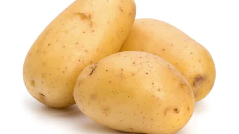 Картофель ажур характеристика сорта отзывы вкусовые качества