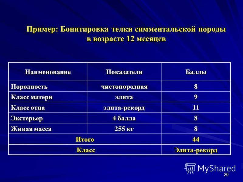 Учет крупнорогатого скота (крс)