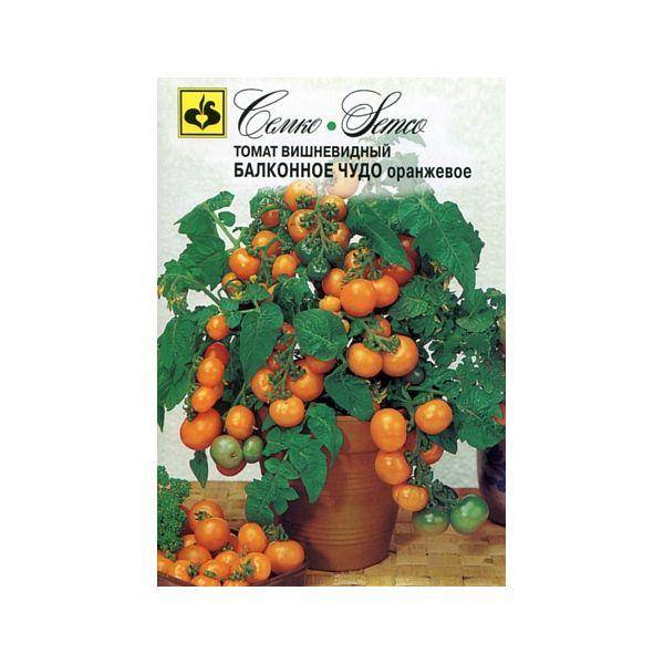 Томат «оранжевое чудо» — настоящая находка для любого дачника