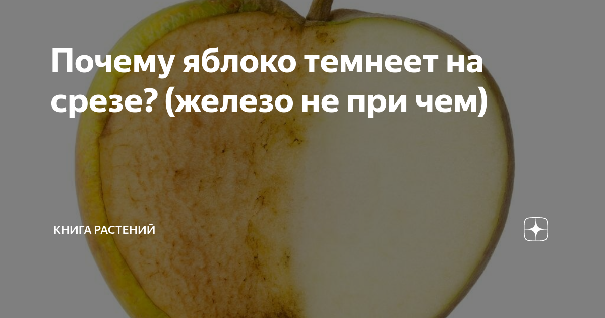Почему яблоки темнеют на срезе и что сделать, чтобы они не потемнели при нарезке