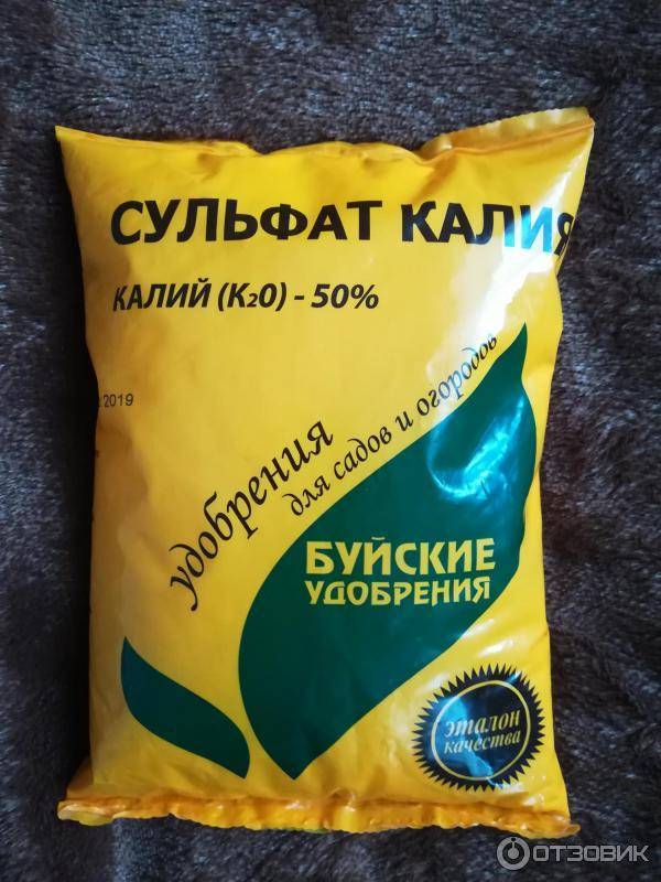 Калийное удобрение: применение на огороде и в саду весной и осенью