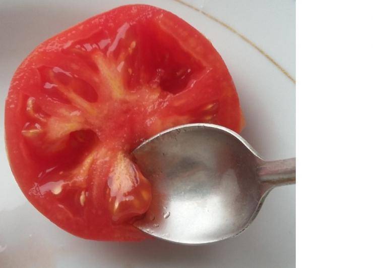 Как правильно собрать семена помидоров в домашних условиях